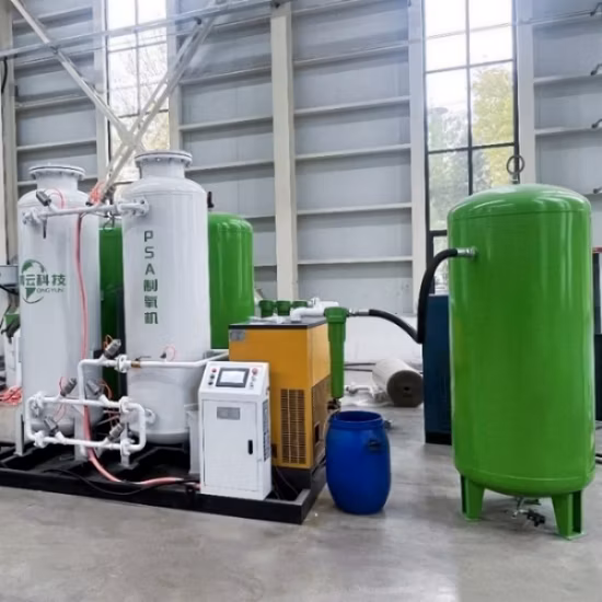 Psa Industrial Oxygen Generator Price Mini Oxygen Plant Oxygen Concentrator