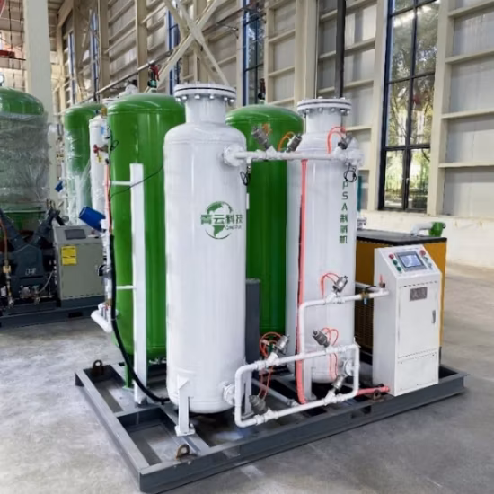 Psa Industrial Oxygen Generator Price Mini Oxygen Plant Oxygen Concentrator