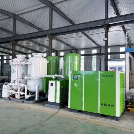 Psa Industrial Oxygen Generator Price Mini Oxygen Plant Oxygen Concentrator