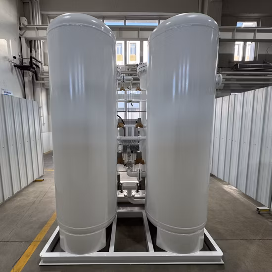 기계를 만드는 어항 O2를 위한 OEM 제조자 공급자 Psa 산소 발생기 식물